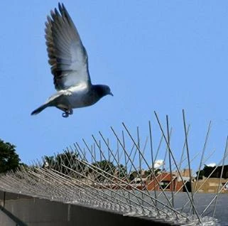 high quality barbed wire fencing