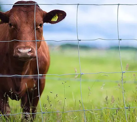 wire fence prices