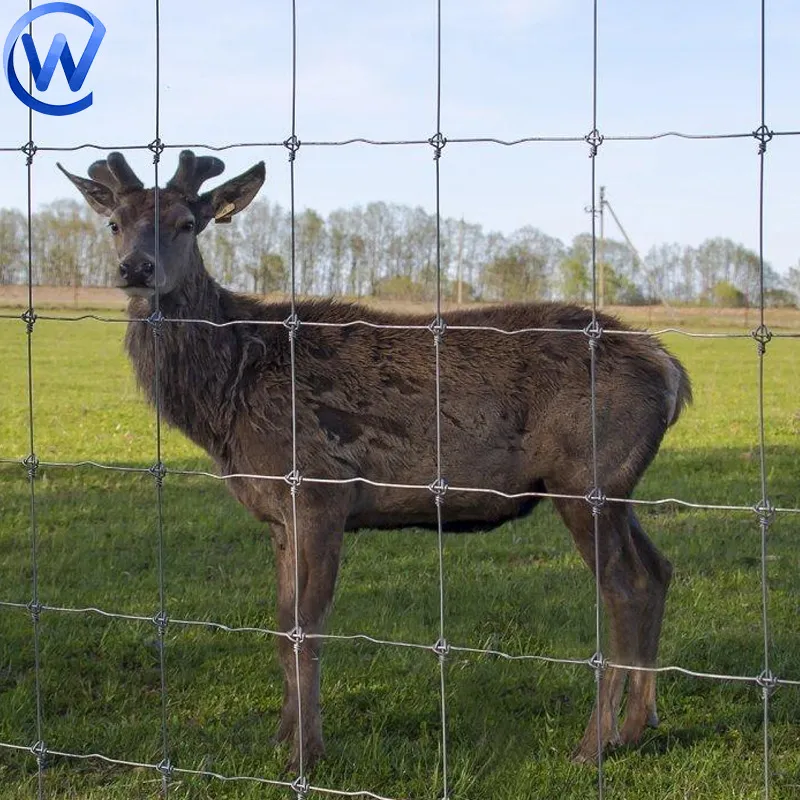 pvc coated wire mesh fence